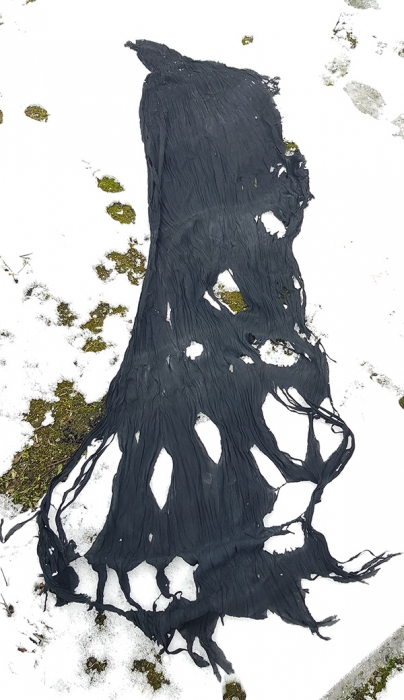 https://www.lisastewart.me:443/files/gimgs/th-75_StewartLisa_Collaborations-with-Atmospheric-Forces_Black-Cloth_web.jpg